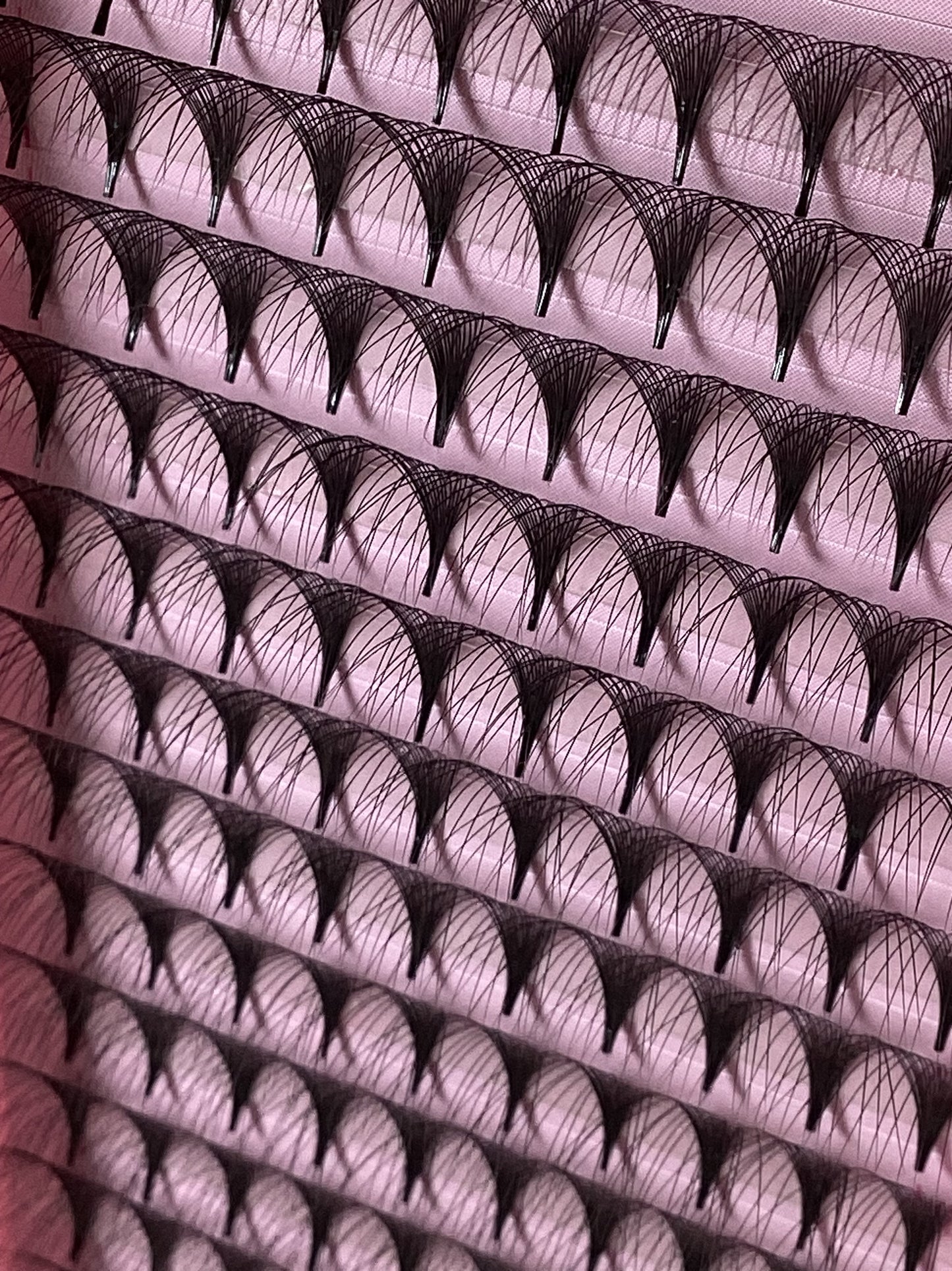 0.3 Premade 16D Lash Trays