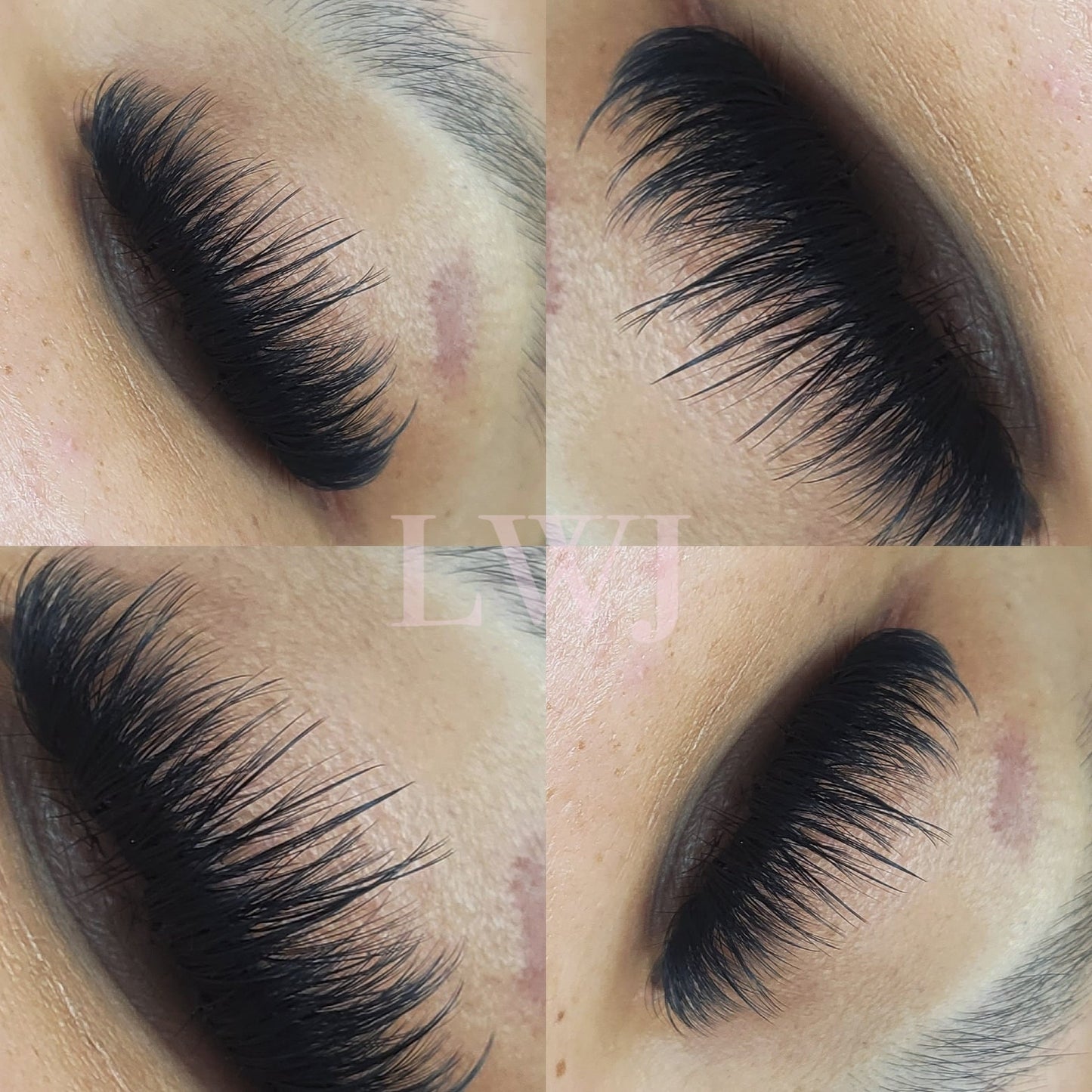 0.5 Mixed Lash Trays (Lavish Collection)
