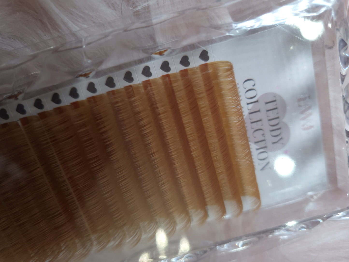 Teddy Lash Collection