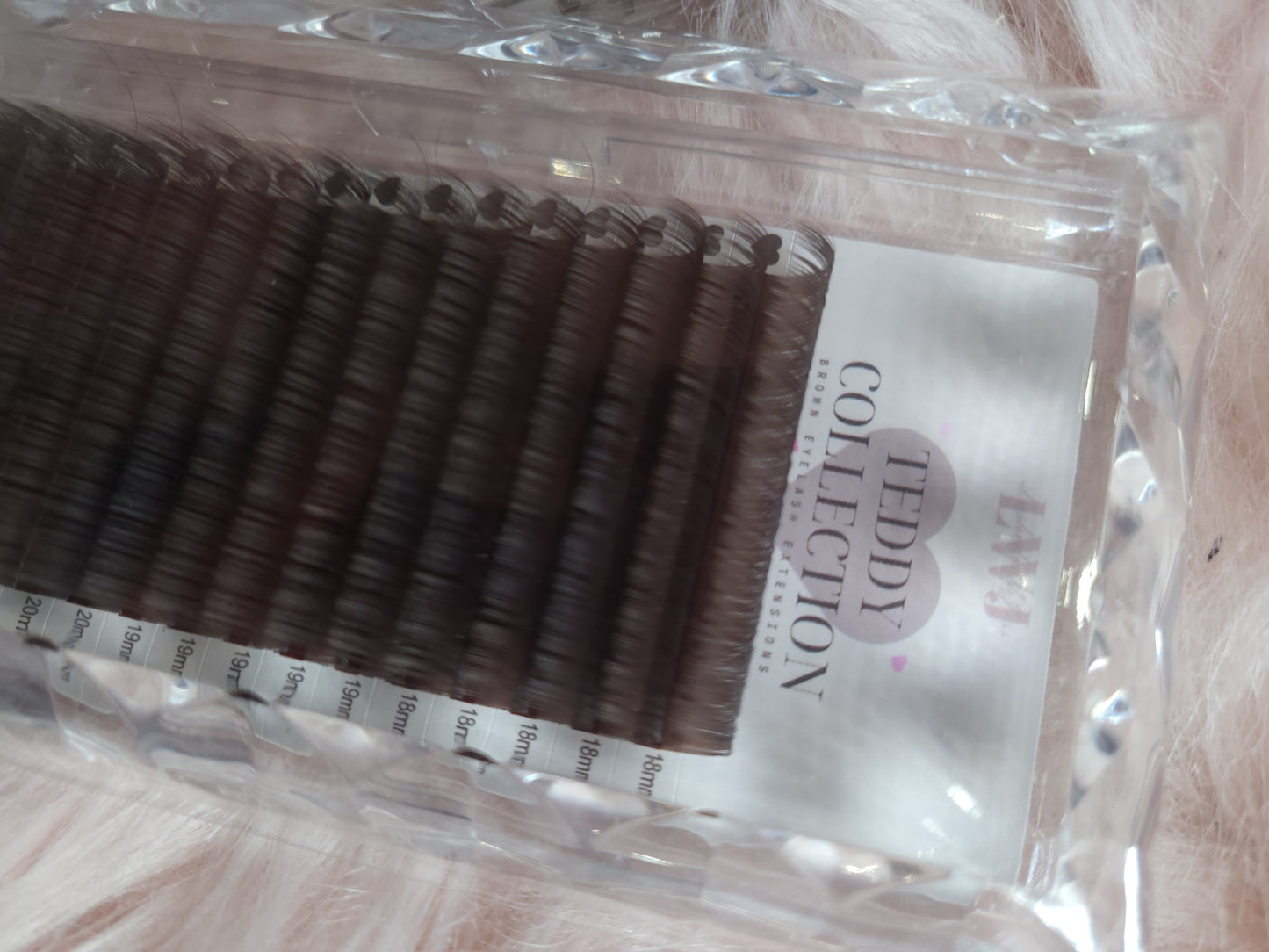 Teddy Lash Collection