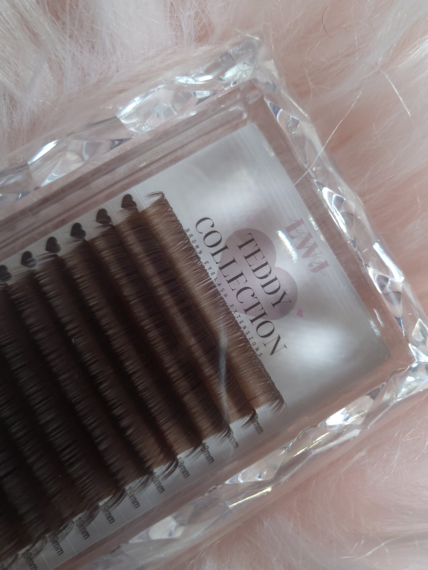 Teddy Lash Collection